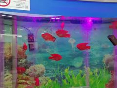 -雅悦齿科(顾村公园店)