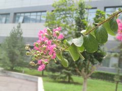 -中关村生命科学园