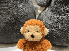 -深圳湾万象城(南山店)