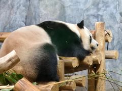 -深圳野生动物园