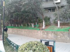 -莲湖公园