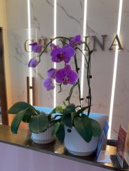 -头道汤·茜曼缇娜