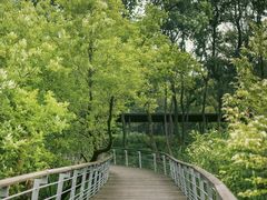 -西湖风景区-江洋畈生态公园