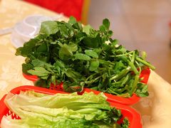 西洋菜-老东风菜馆·潮汕大排档