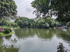 -晓港公园
