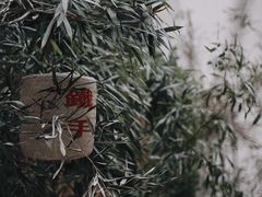 -Metal hands·铁手咖啡