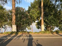-东湖生态旅游风景区