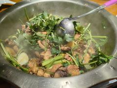 -九道菜有鸡鱼头(石鼓路店)
