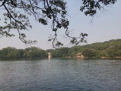-紫霞湖公园