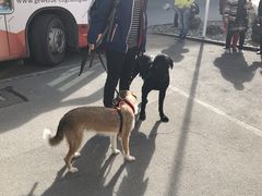 -瑞士英格堡小镇