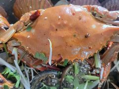 海鲜大咖-海帮主·蒸汽海鲜青岛菜(栈桥火车站店)