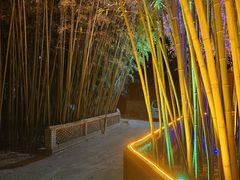 -栾川竹海野生动物园