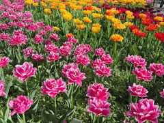 -国家植物园南园