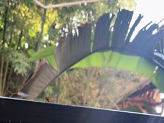 -陈熹公民族美食文化餐厅(中华广场店)