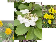 -奉浦四季生态园