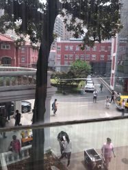 -复旦大学附属妇产科医院(黄浦院区)