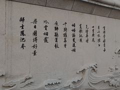 -金沙湖公园