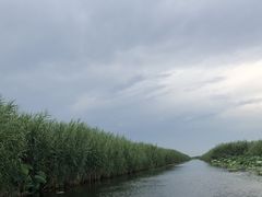 -白洋淀景区