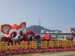 -野狸岛