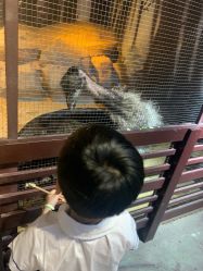 -酷嗒动物文化乐园(cutezoo西溪乐天城店)