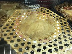 -大中鱼翅 Taitong Shark Fin