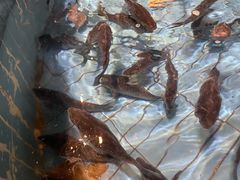 -白城车站店一九二八铁锅炖