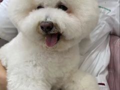 -瑞派蒂凯宠物医院·免疫点·宠保定点