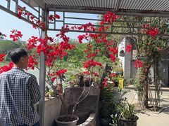 -生宇山珍野生菌汤锅•始于1999(双流古塔店)