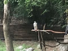 -清迈夜间动物园