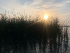 -丁香湖公园