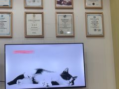 -谐和贝康宠物医院24小时·宠保定点(急重症转诊中心)