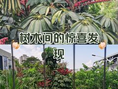 -布吉佳兆业广场