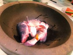 鲜潭蒸汽石锅江团鱼-鲜潭蒸汽石锅鱼(五道口购物中心店)