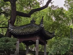 -天一阁博物院