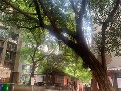 -甘单茶事小馆(洋河店)