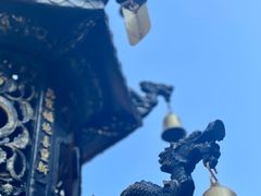 -深圳仙湖植物园