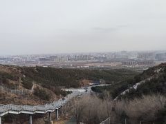 -大青山野生动物园