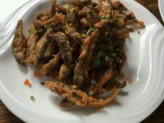 -安吉胖嫂家