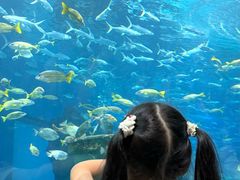 -海合安武汉极地海洋公园