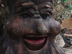 -呀路古热带植物园