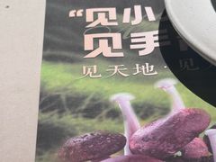 -饱嗝·泰傣厨房(国创园店)