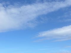 -瑰丽酒店·海吧·天际下午茶·现场DJ·天台酒吧