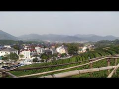 -龙坞茶村