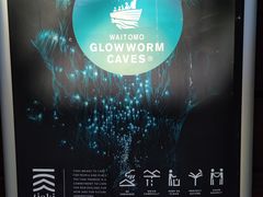 -怀托摩萤火虫洞