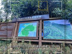 -千岛湖天屿景区