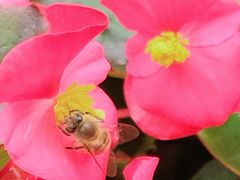 -复旦大学附属华山医院(江苏路分部)