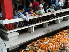-广东圆玄道观