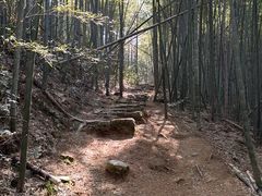 -莫干山风景区