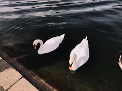 -海德公园