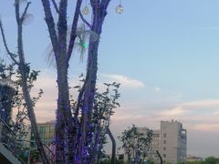 -红星美凯龙国际家居博览中心至尊mall停车场